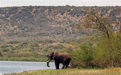 Day Akagera National Park Wildlife Safari And Lake Ihema Tour