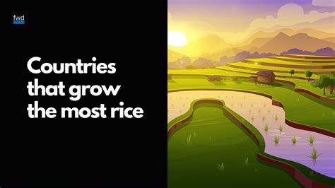 Charted: Countries that grow the most rice — Fun With Data