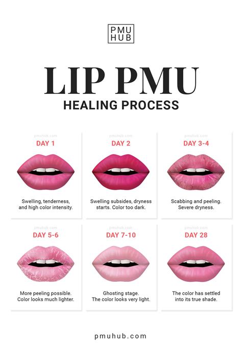 Lip Blush Healing Process Day By Day Timeline And Stages Lip