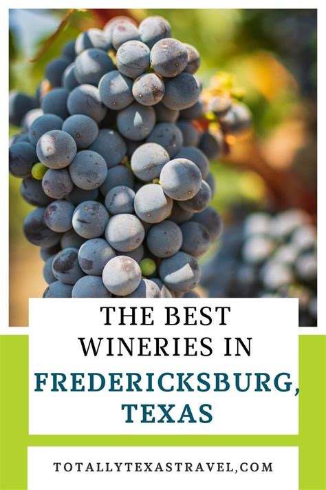 Best Wineries In Fredericksburg Texas Artofit