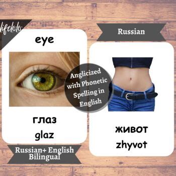 Body Parts Real Russian English Bilingual Flash Cards Body Parts