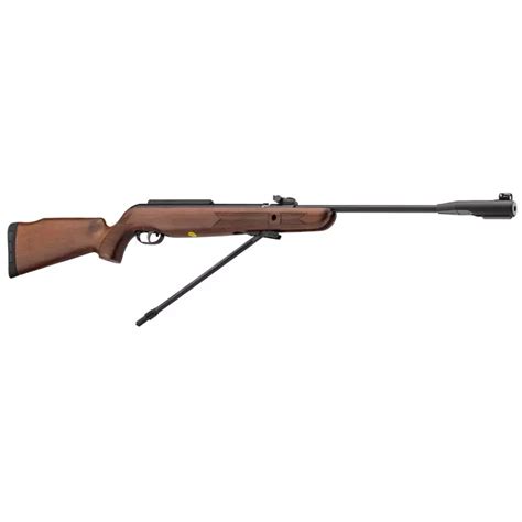 Carabine Air Comprime Gamo Cfx Royal Bois Canon Fixe Plombs Mm