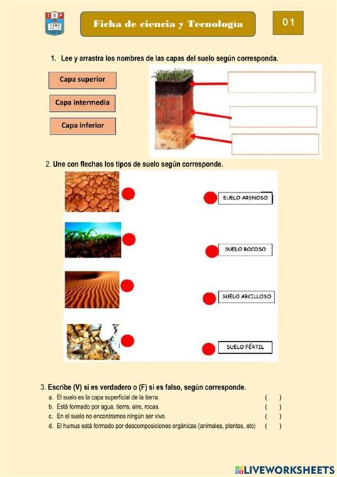 Ejercicio Interactivo De Suelos