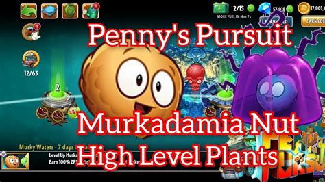 Murkadamia Nut Penny S Pursuit This Week High Level Plants Plants Vs