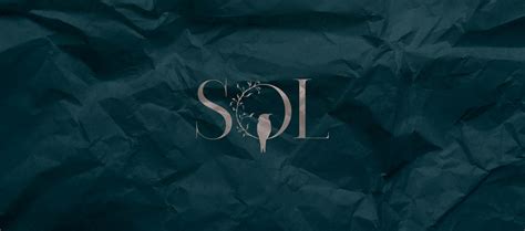 SOL Branding :: Behance