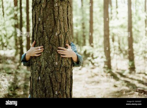 Woman Hugging Old Tree In Forest Embracing Tree Trunk With Hands