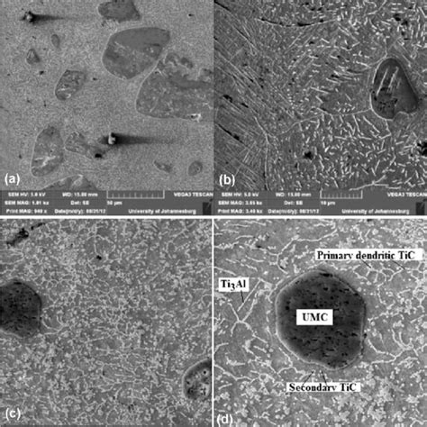 Sem Micrograph Of The Sample At A M S B Higher Magnification