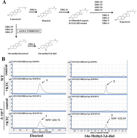 High Performance Liquid Chromatography Mass Spectrometry Hplc Ms Download Scientific Diagram