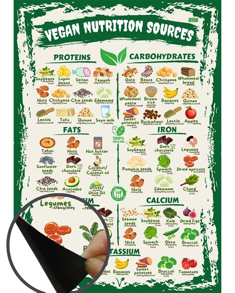 Buy Vegan Tion Sources Chart Magnet A Size Minerals Proteins Carbs S