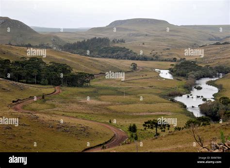 Pocket of vegetation near stream in valley, Brazilian Highlands Santa ...