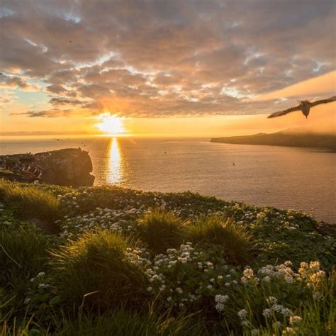 Grímsey | Grímsey Island