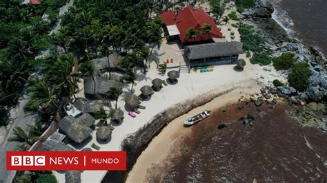 Sargazo en el Caribe el desastre en México por la marea de algas que