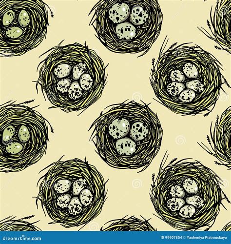 Hand Drawn Nests Pattern Stock Vector Illustration Of Nature 99907854