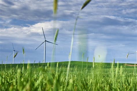 Wind Turbine In The Field Wind Power Energy Concept Stock Photo