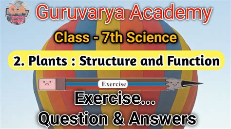 Std 7 Science Chapter 2 Plants Structure And Function Exercise 2 Plants