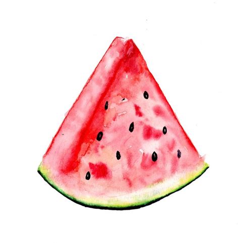 Original Watercolor Watermelon Painting Botanical Watercolor Art