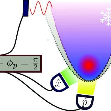 Cooling A Quantum Particle In A Harmonic Trap By Phasepreserving