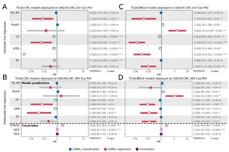 Overview Of The Externally Validated Prognostic Capabilities Of The