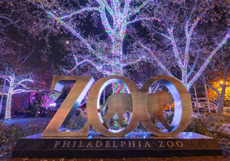 Luminature At The Philadelphia Zoo Holiday Lights With A Twist