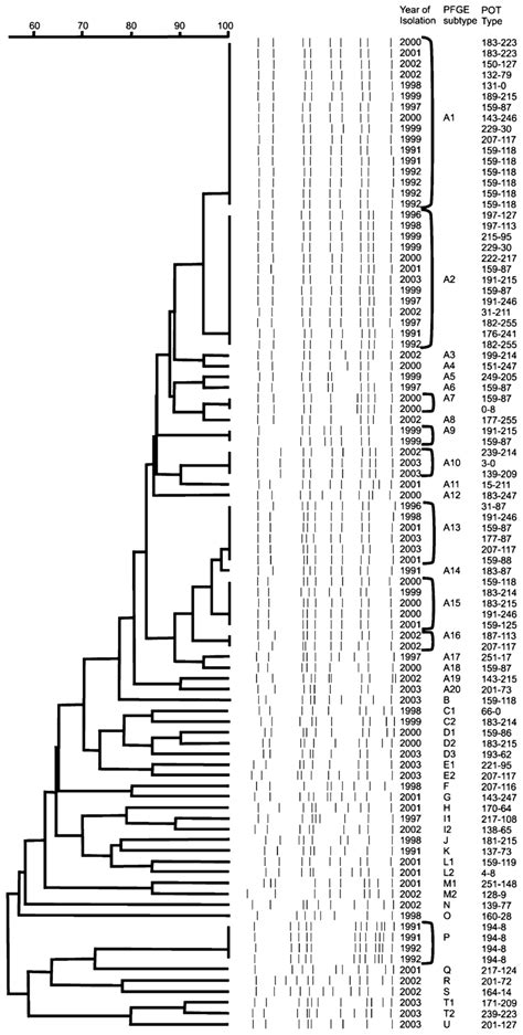 Dendrogram Of Smai Digested Pfge Profiles Of 92 Mrsa Strains Pfge