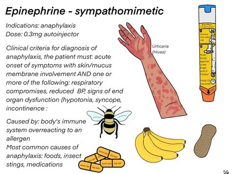 BLS practical scenarios : Epinephrine for anaphylaxis explained