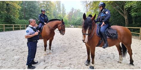 Lyon Police municipale la brigade équestre possède enfin sa propre