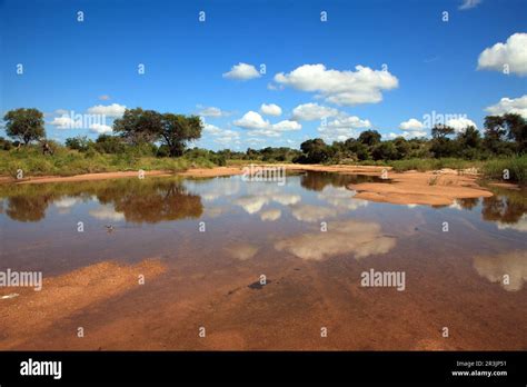 Flusslauf im Krüger Nationalpark in Südafrika Stock Photo Alamy