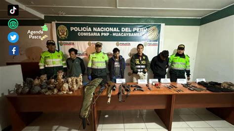 Huánuco Policía Desarticula Banda Delictiva “los Malditos De Matacaballo”