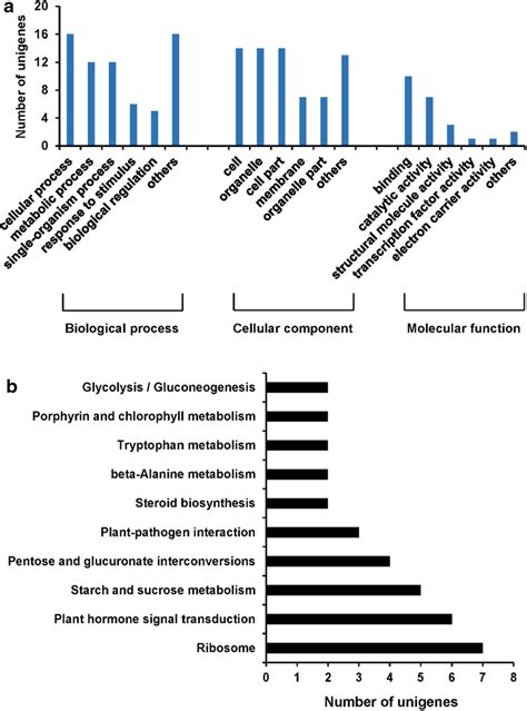 Go And Kegg Classifications Of Degs For P Major Vasculature Under