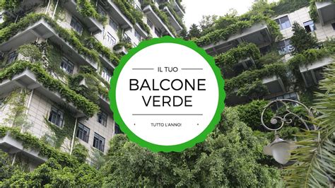 Piante Che Restano Verdi Tutto L Anno Green Mag