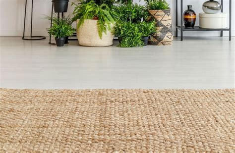 Jute Rug Cleaning Services In Cincinnati Oh