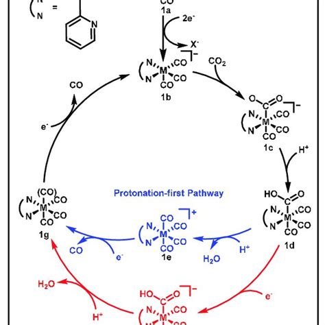 Scheme Proposed Mechanistic Pathways Of M Bpy Co X Structural