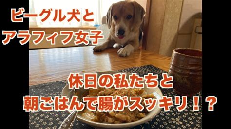 【ビーグル犬とアラフィフ女子】朝ごはんで腸スッキリ！？と休日の私たち！ Youtube