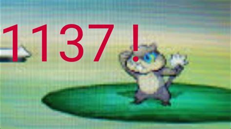 SHINY PATRAT FOUND AFTER 1137 ENCOUNTERS YouTube