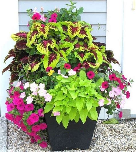 42 Awesome Flower Bed Ideas To Try Today Page 7 Container Flowers