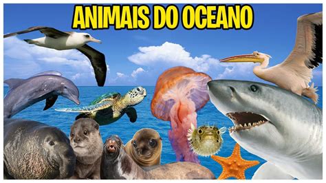 Nome Dos Animais Do Oceano Conhe A O Nome Dos Animais Mundo Th O