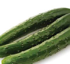 Placer anal dónde está el límite Blue