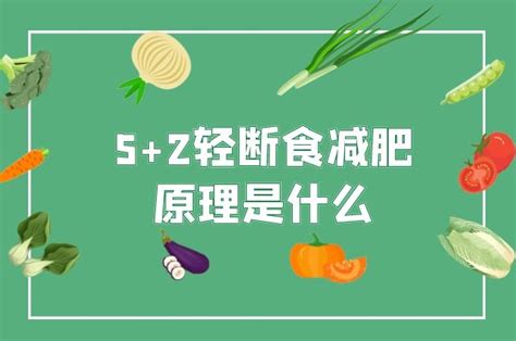 52轻断食减肥原理是什么 52轻断食减肥原理介绍 六六健康网