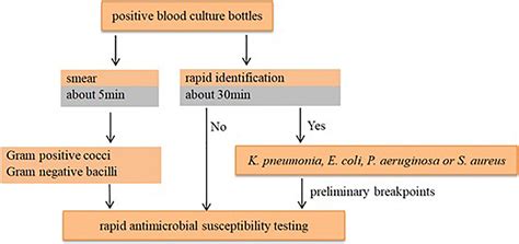 Frontiers Development Of An In House Rapid Antimicrobial