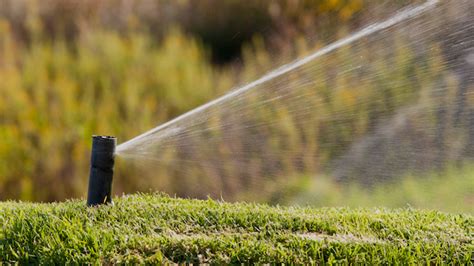 Demystifying Common Irrigation Myths Heinen Landscape Irrigation