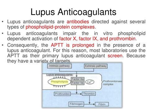 Ppt Lupus Anticoagulants Powerpoint Presentation Free Download Id 3424941