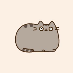 Pusheen GIF - Find & Share on GIPHY