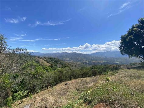 Lotes Y Terrenos Atenas Venta Hermosa Propriedad Finca De Naranjas