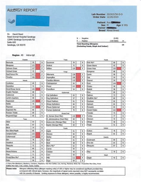 dog food allergy test - Impressed Gal