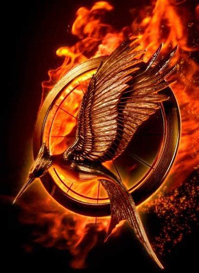 Catchingfirelogo Catching Fire Logo Hunger Games Catching Fire