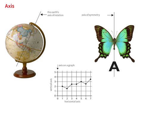 axis noun - Definition, pictures, pronunciation and usage notes ...