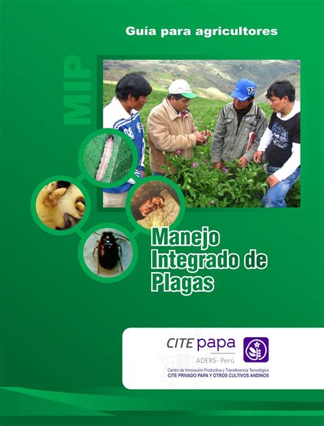 3 Manejo Integrado De Plagas By CITE Papa Issuu