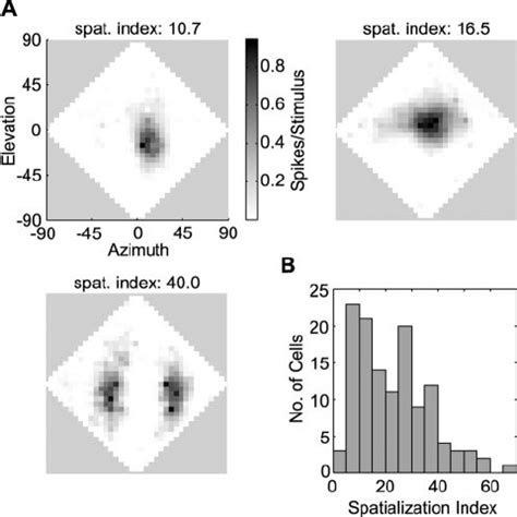 Spatialization Indices Used In Screening Cells A Examples Of Normal