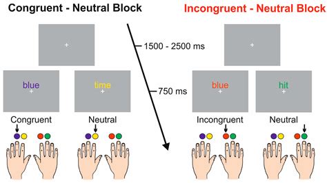 Brain Sciences Free Full Text Electrophysiological Evidence Of Anticipatory Cognitive