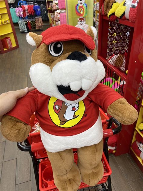 Buc Ees Plush Beaver Stuffed Animal 24 In Ebay